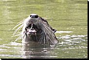 Picture1